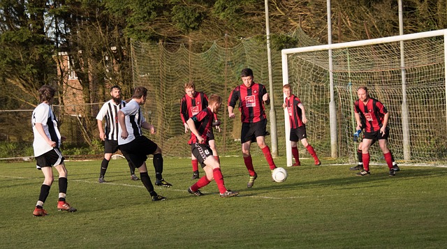 巴列卡诺传 巴列卡诺传