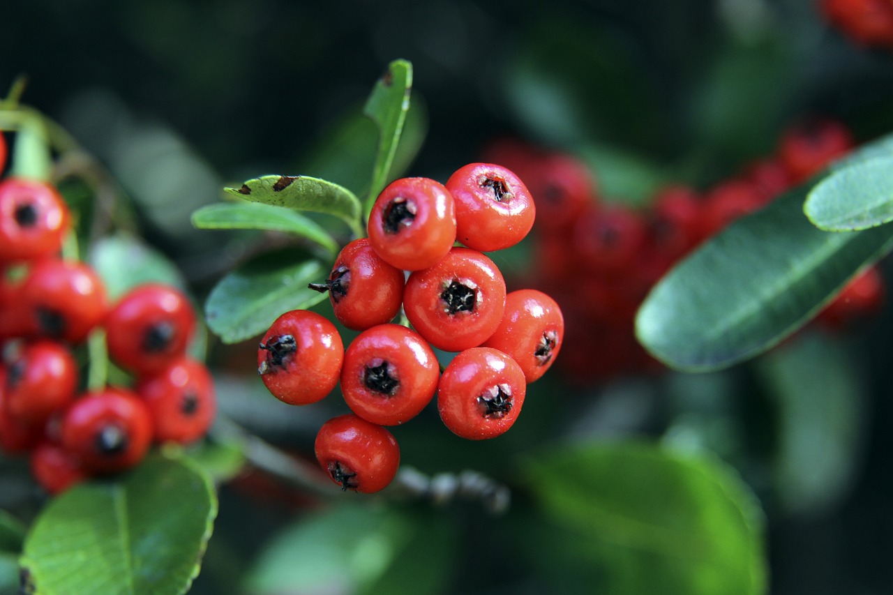 不仅稳固了 不仅稳固了