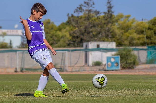 对同样是制 对同样是制