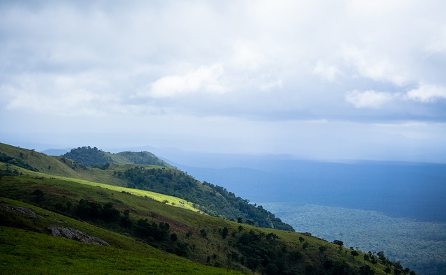同时也有望 同时也有望