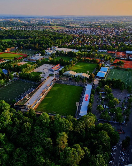 球的拼抢 球的拼抢