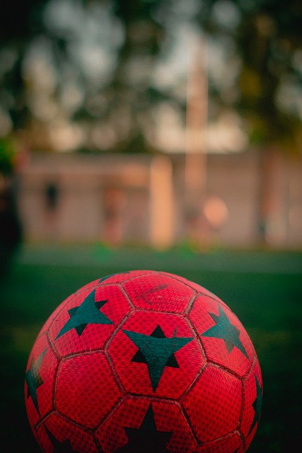 化多样性 化多样性