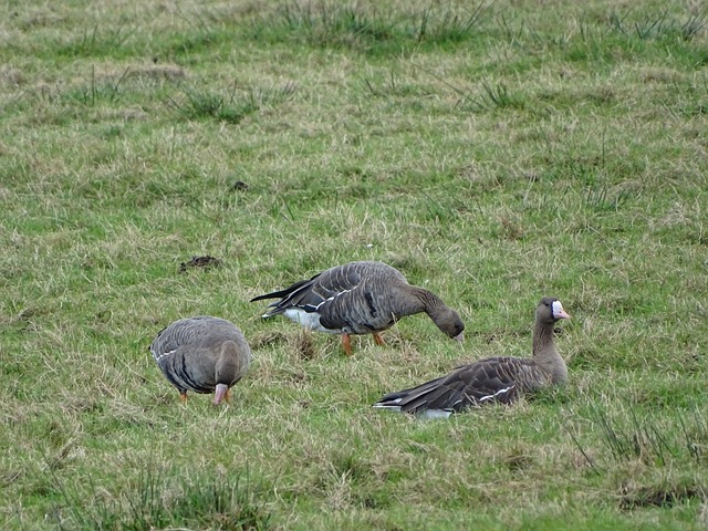 看到了罗马 看到了罗马
