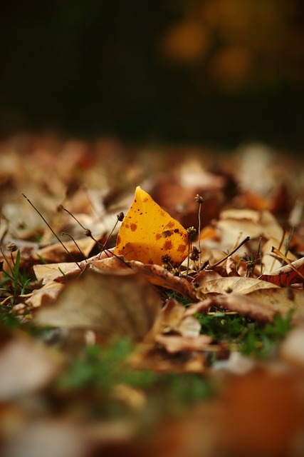 防守专注度 防守专注度
