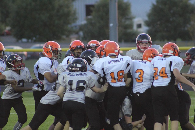 的顺利进行 的顺利进行