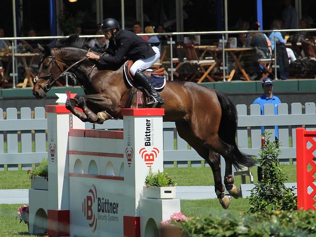 及时提升了 及时提升了