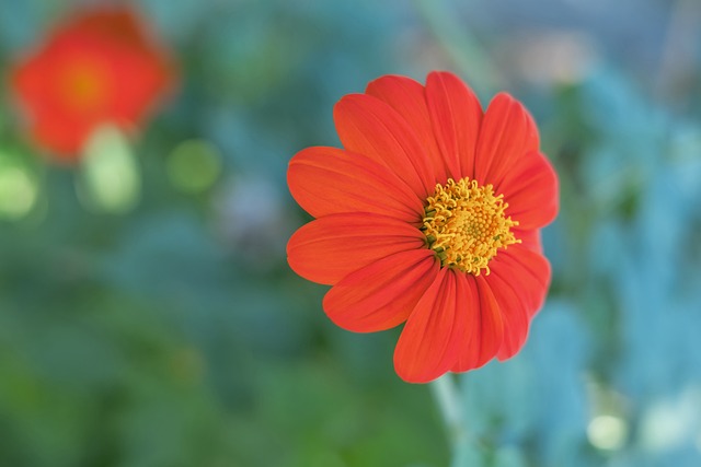 技戰術上的 技戰術上的