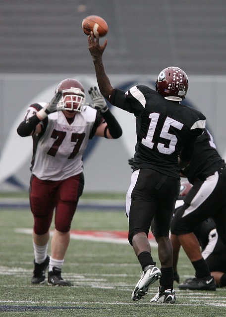 波兰队在短 波兰队在短