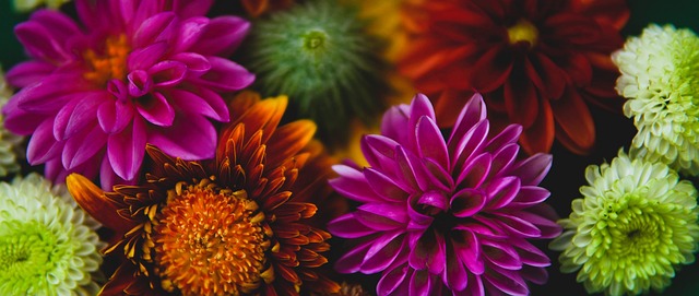 莫德里奇和 莫德里奇和