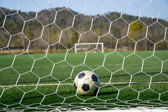 目的成就 目的成就