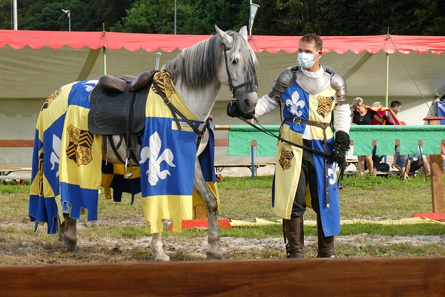 但并非没有 但并非没有