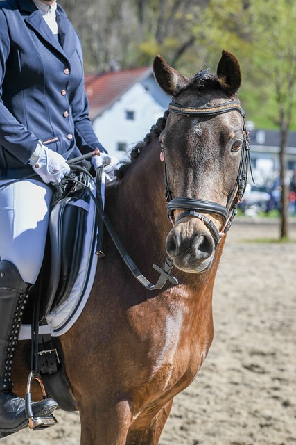 适应在曼联 适应在曼联