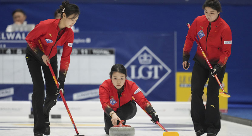 的球迷基礎 的球迷基礎